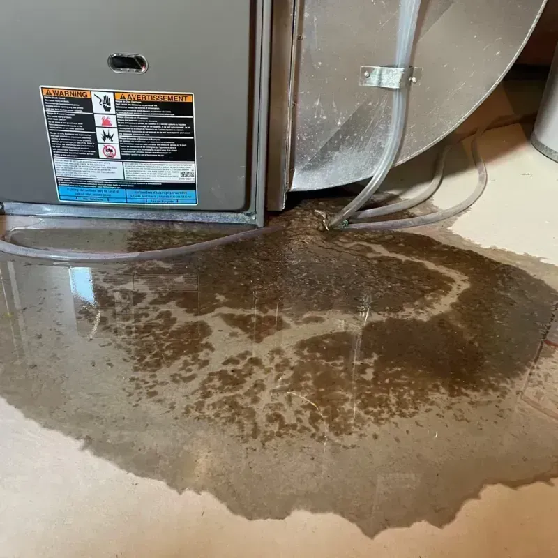 Appliance Leak Cleanup in Sterling, AK